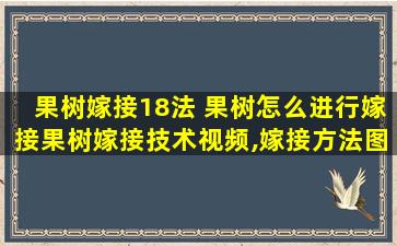 果树嫁接18法 果树怎么进行嫁接果树嫁接技术视频,嫁接方法图解